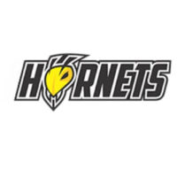 logo-sorriso-hornets