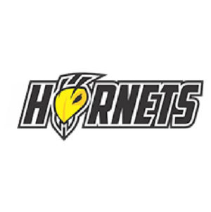 logo-sorriso-hornets-pagina-time